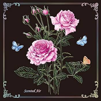 美術書 アート本 バラ売り Amazon.co.jp: 大人のスクラッチアート~薔薇の花園~Night Bloom